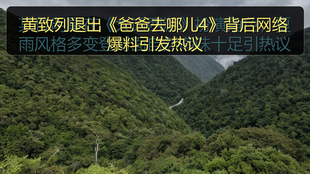 黄致列退出《爸爸去哪儿4》背后网络爆料引发热议