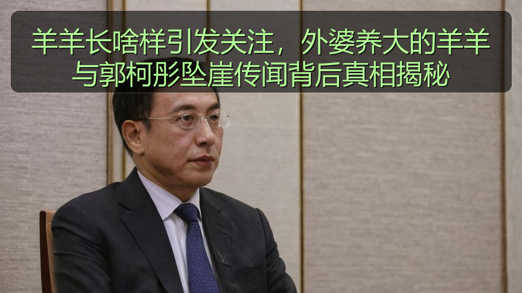 羊羊长啥样引发关注，外婆养大的羊羊与郭柯彤坠崖传闻背后真相揭秘